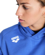 Arena Team Unisex Hooded Panel Sweatshirt - Royal