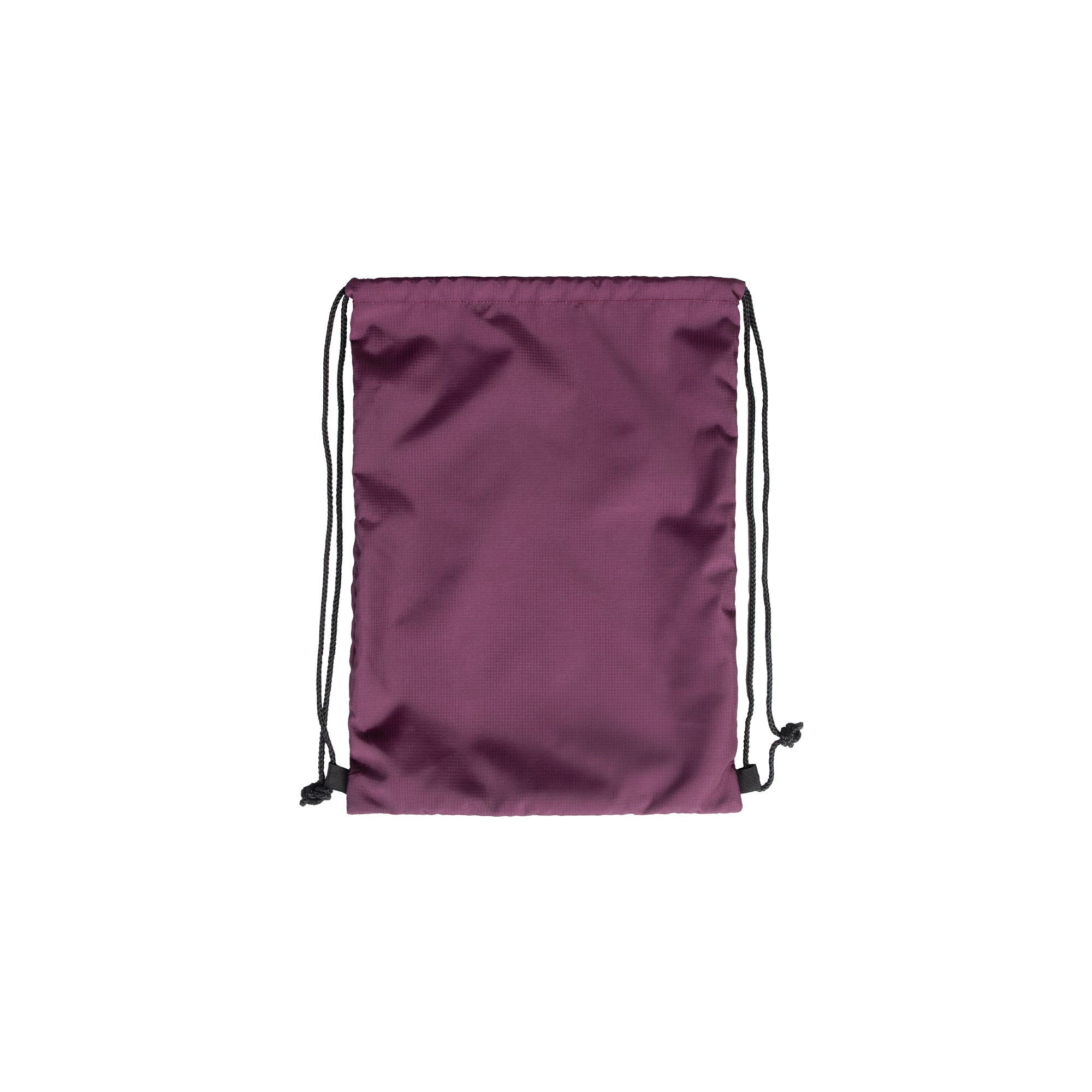 Arena The One Go Swim Bag Plum