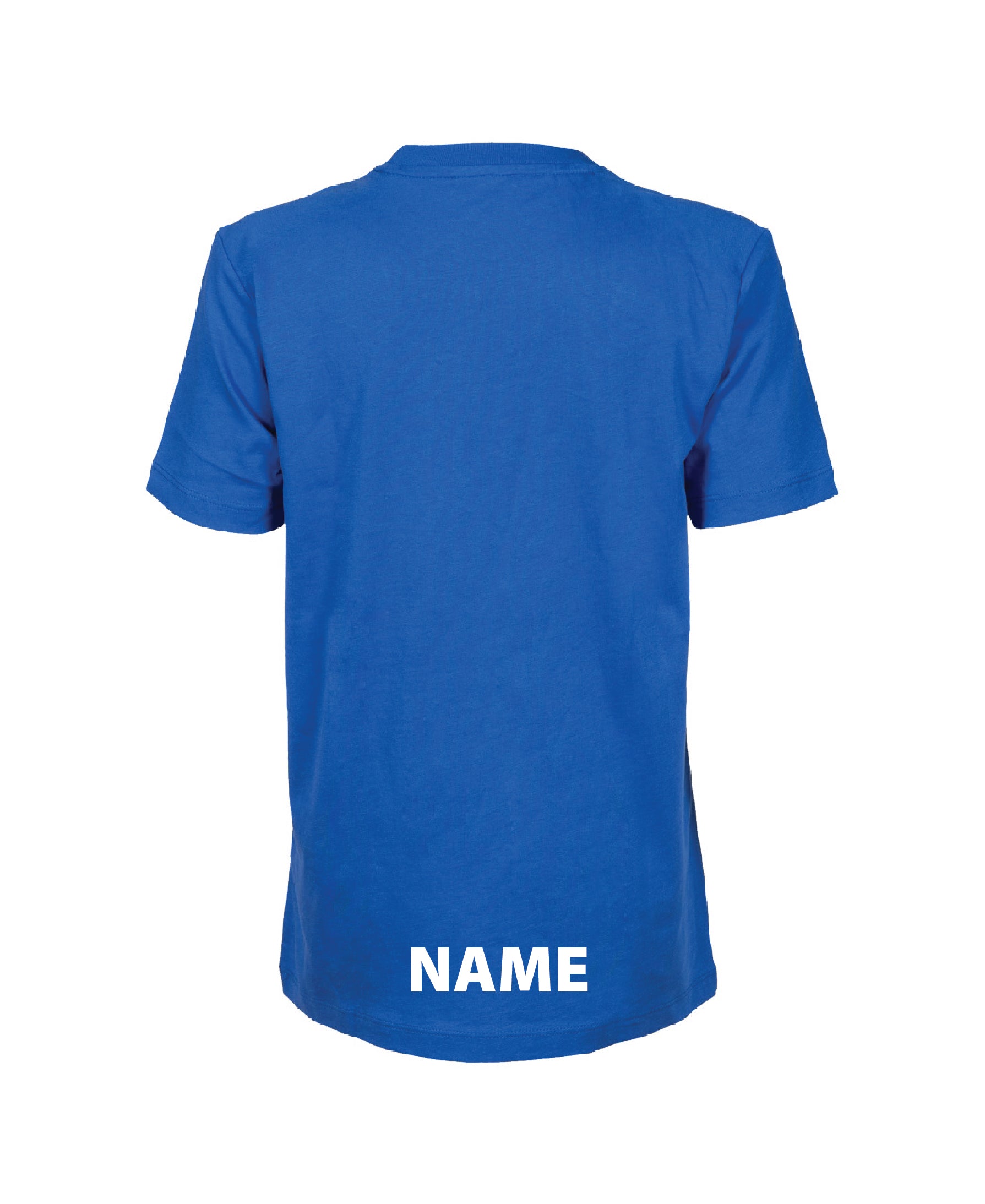Greymouth Jr Panel T-Shirt - Royal