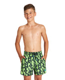 Arena Boy's Fundamentals Allover Junior Boxer - Soft Green Multi